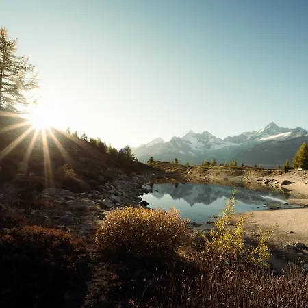 Grünsee Mountain Orman Evi