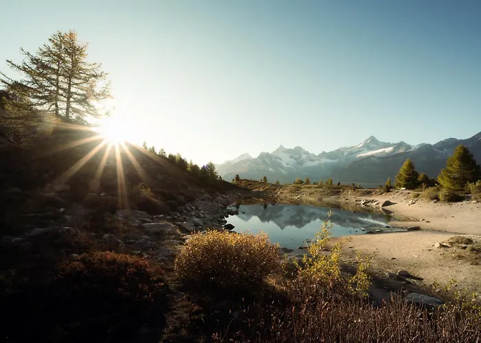 Grünsee Mountain Orman Evi